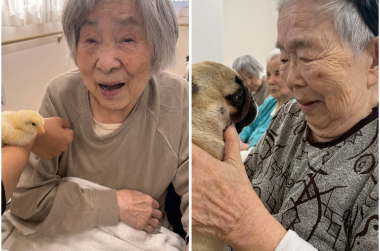 Photo Collage Maker_2025_11_02_12_02_17