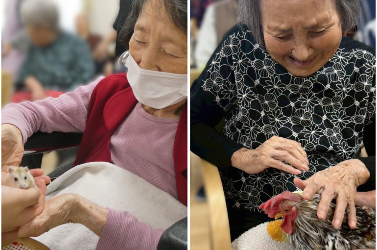 Photo Collage Maker_2025_11_02_12_14_26