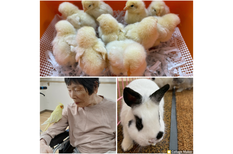 Photo Collage Maker_2025_11_04_03_23_10