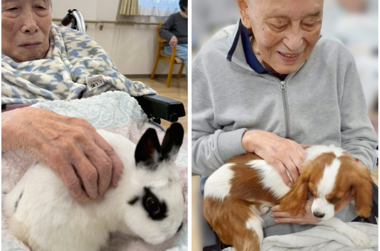 Photo Collage Maker_2025_11_05_10_28_55