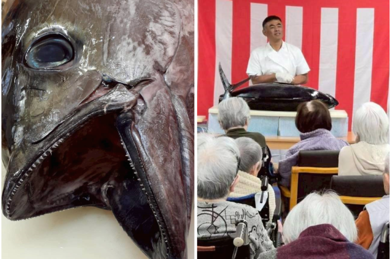 Photo Collage Maker_2025_11_28_10_52_48