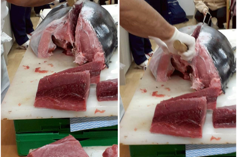 Photo Collage Maker_2025_11_28_10_48_58