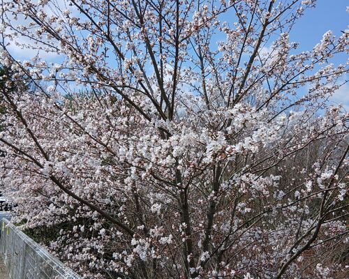 20260402_113648 (002)