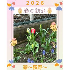 オランダフェスインスタ①