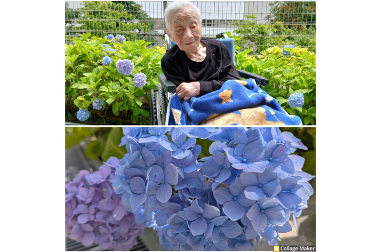 Photo Collage Maker_2026_06_04_11_13_28