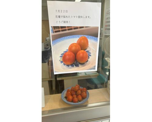 トマト掲示