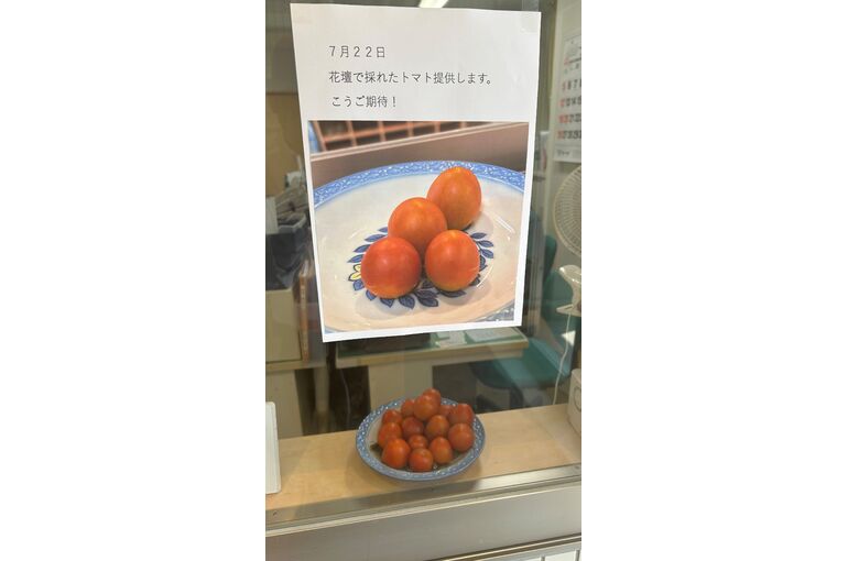 トマト掲示